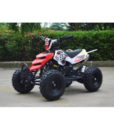 MINI QUAD RAPTOR 50cc 2T RUOTA 6"