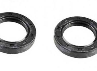 COPPIA PARAOLI 15*25*7 BANCO MOTORE