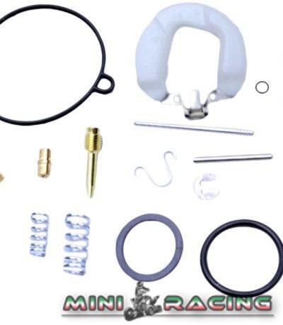 KIT REVISIONE CARBURATOTE PZ19