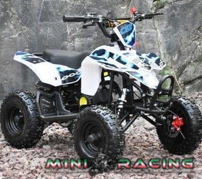 MINI QUAD FOX 50cc 2T RUOTA 6"