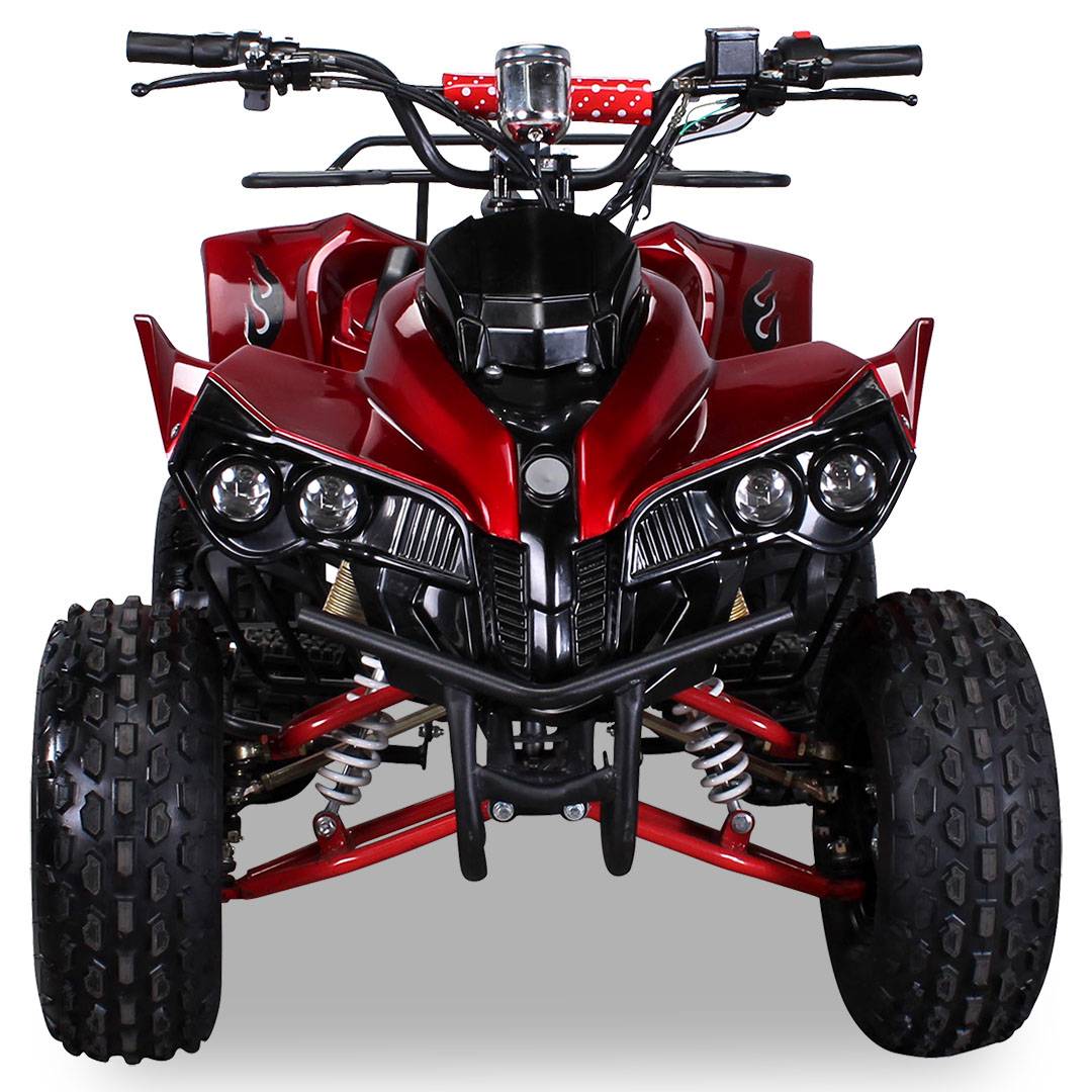 QUAD WARRIOS ELETTRICO 1000W 48V RUOTE DA 8" - immagine 8