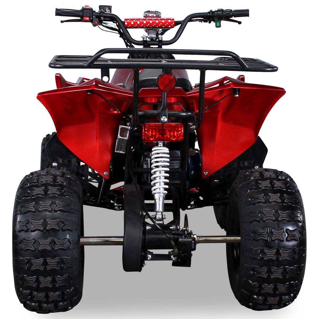 QUAD WARRIOS ELETTRICO 1000W 48V RUOTE DA 8" - immagine 7