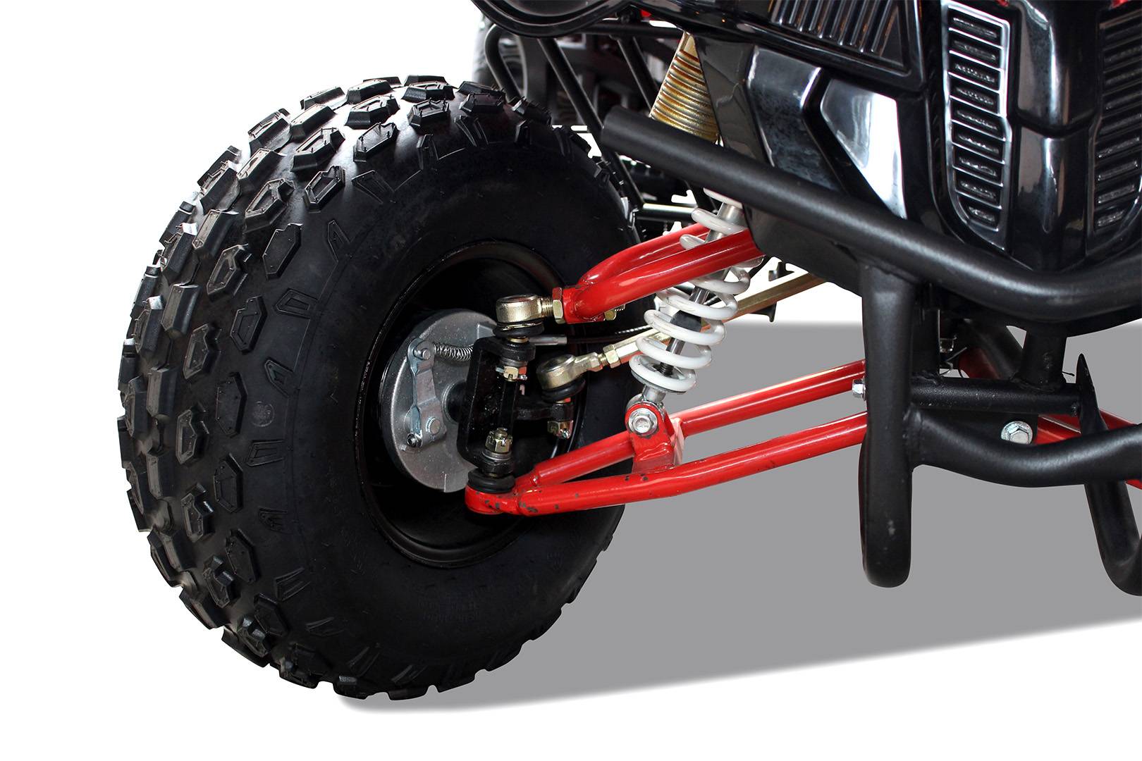 QUAD WARRIOS ELETTRICO 1000W 48V RUOTE DA 8" - immagine 6