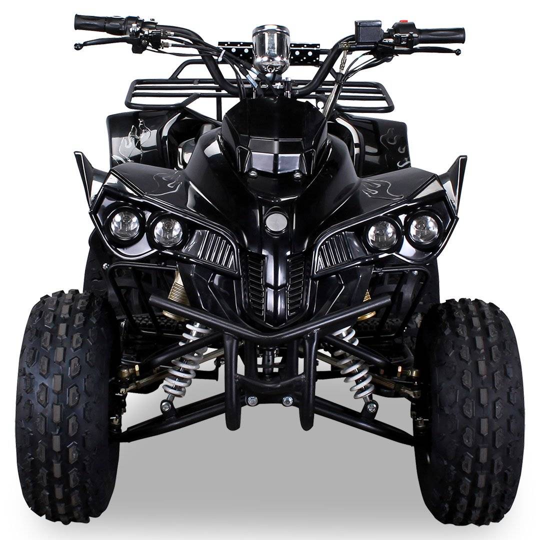 QUAD WARRIOS ELETTRICO 1000W 48V RUOTE DA 8" - immagine 3