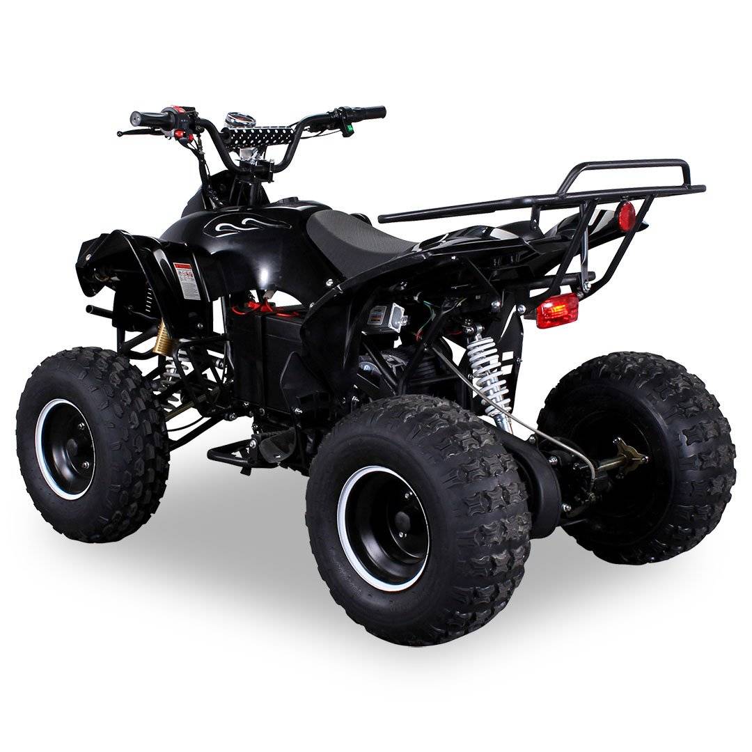 QUAD WARRIOS ELETTRICO 1000W 48V RUOTE DA 8" - immagine 4
