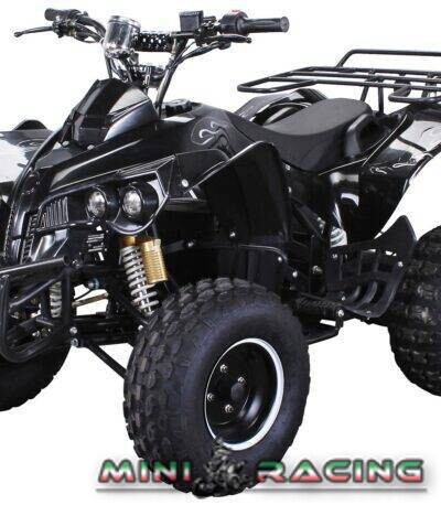 QUAD WARRIOS ELETTRICO 1000W 48V RUOTE DA 8"