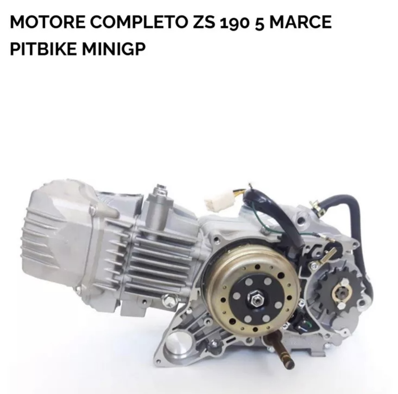 MOTORE COMPLETO ZS 190 5 MARCE PITBIKE MINIGP